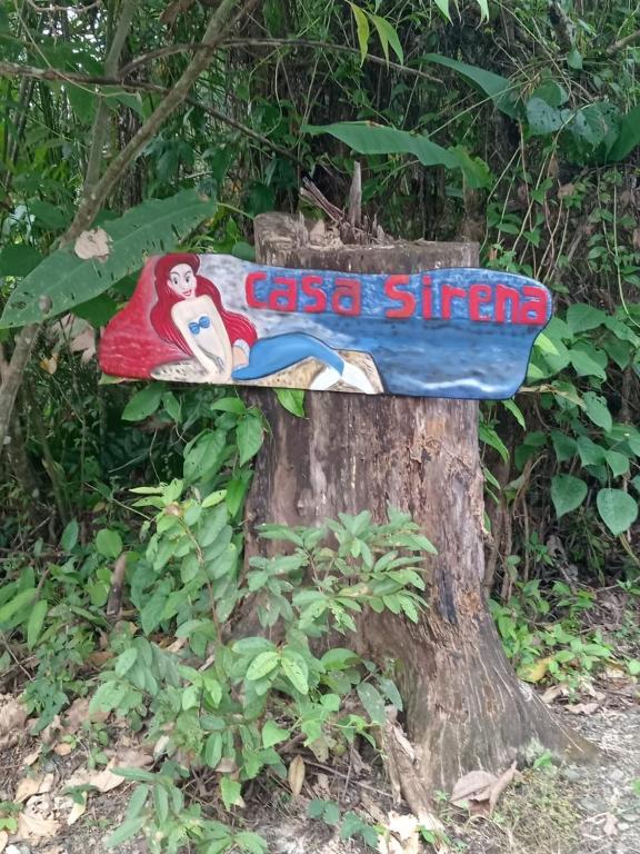 Imagen de la galería 11