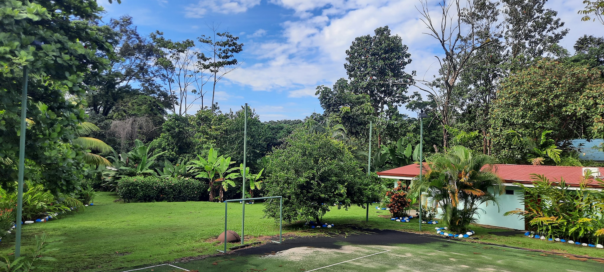 Imagen de la galería 2