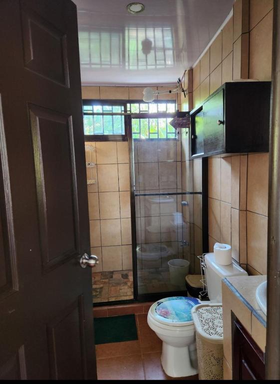 Imagen de la galería 3