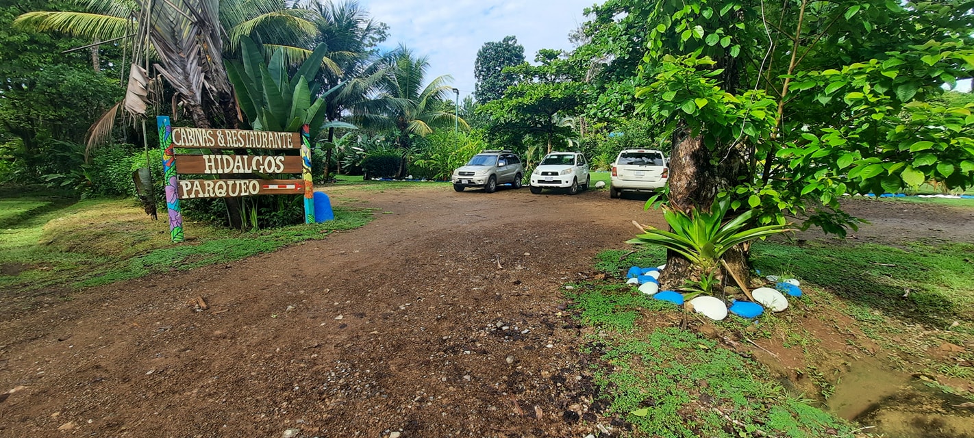 Imagen de la galería 5