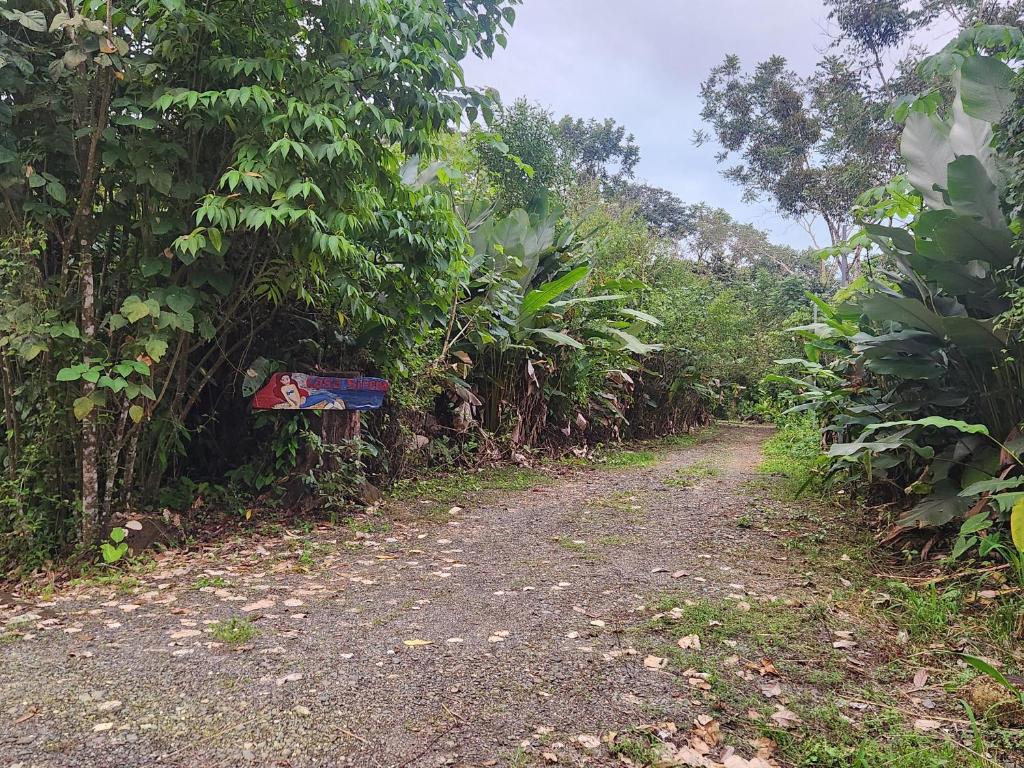 Imagen de la galería 5