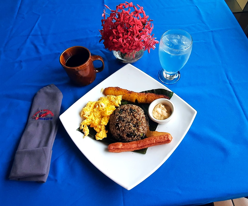 Imagen de la galería 6