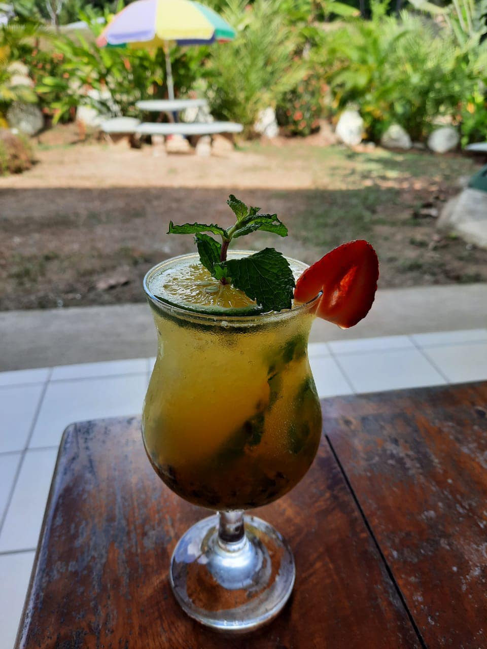 Imagen de la galería 8