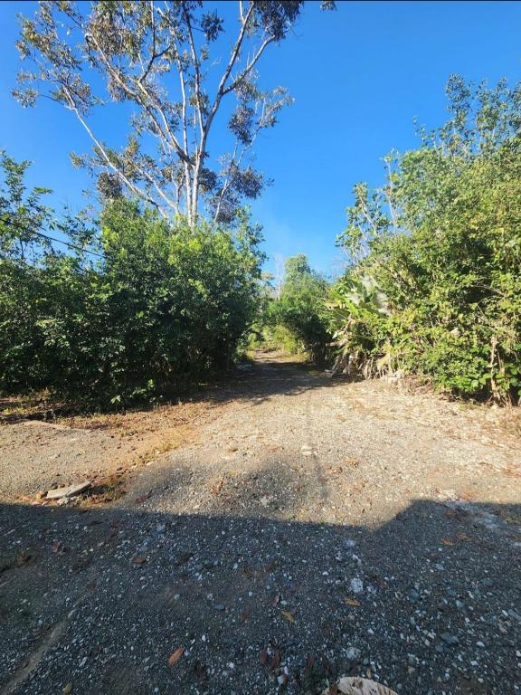 Imagen de la galería 9