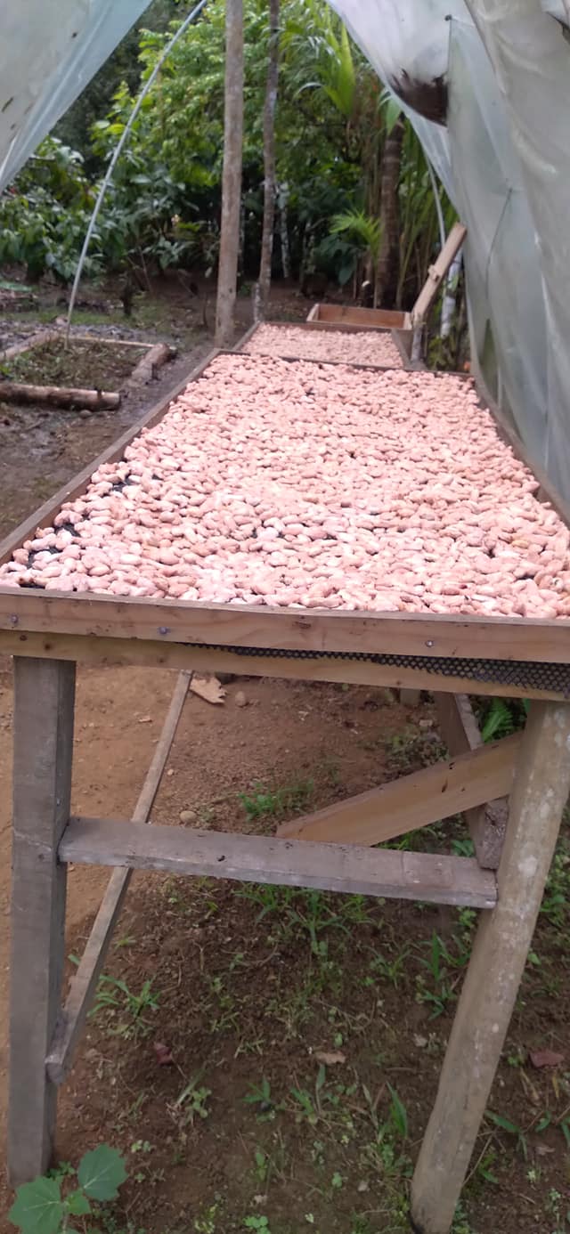 Imagen de la galería 12