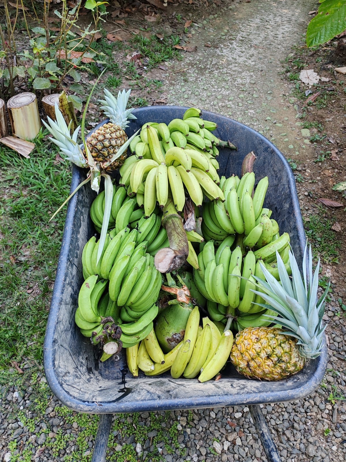 Imagen de la galería 20